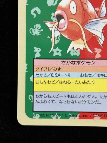 【状態A】●コイキング 裏面青 エラー