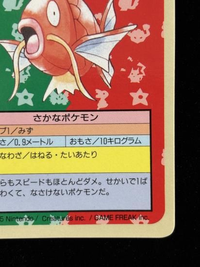 【状態A】●コイキング 裏面青 エラー