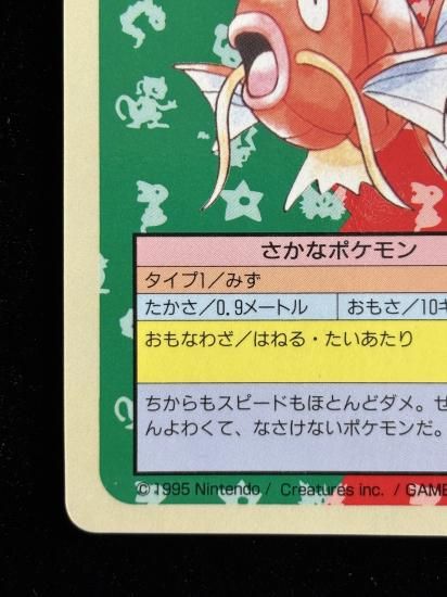 【状態A】●コイキング 裏面青 エラー