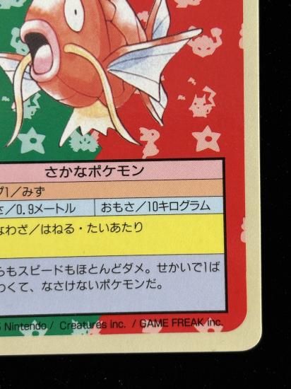 【状態A】●コイキング 裏面青 エラー