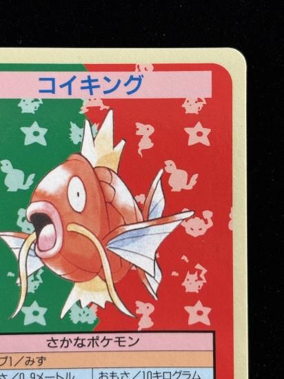 【状態A】●コイキング 裏面青 エラー