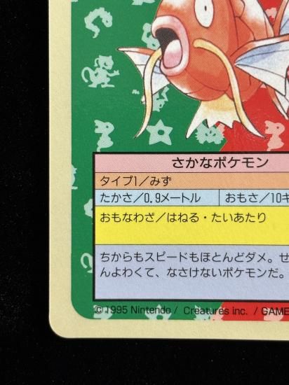 【状態A】●コイキング 裏面青 エラー