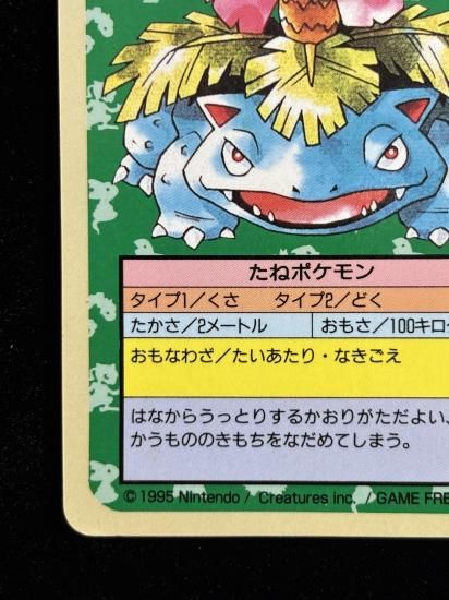 【状態B】●フシギバナ 裏面青 エラー