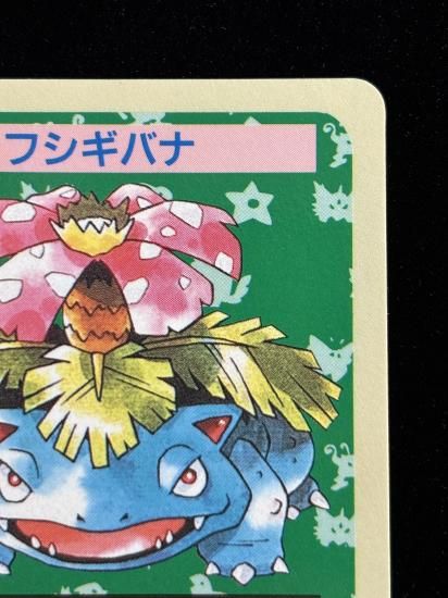 【状態A】●フシギバナ 裏面青 エラー