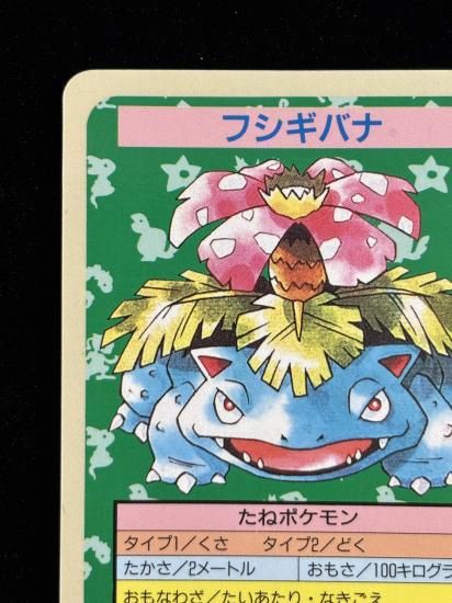 【状態A】●フシギバナ 裏面青 エラー