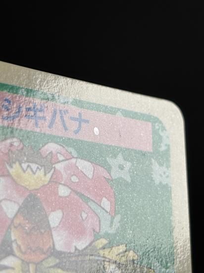 【状態A】●フシギバナ 裏面青 エラー