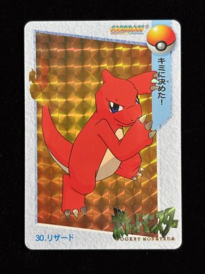 【状態A】●アニメコレクション No.30 リザード