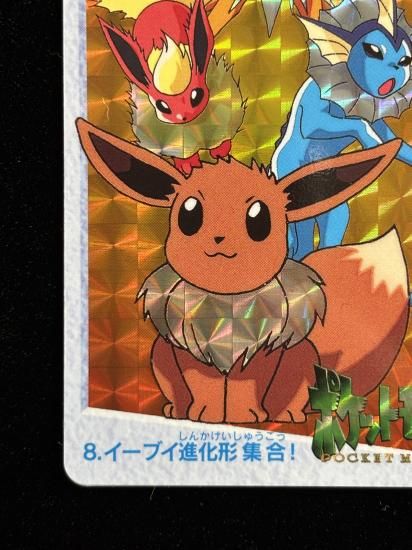 【状態A】●アニメコレクション No.8 イーブイ進化形集合