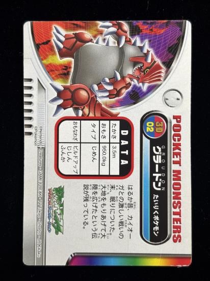 【状態B】●ずかんカード グラードン