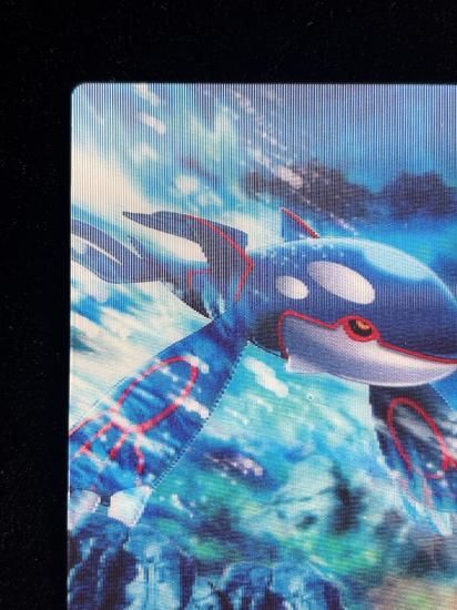 【状態B】●ずかんカード カイオーガ