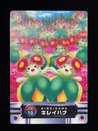 【状態A】●ずかんカード キレイハナ