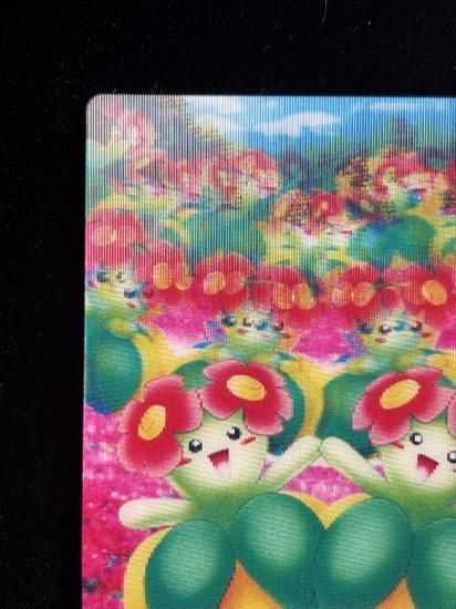 【状態A】●ずかんカード キレイハナ