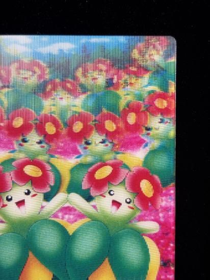 【状態A】●ずかんカード キレイハナ