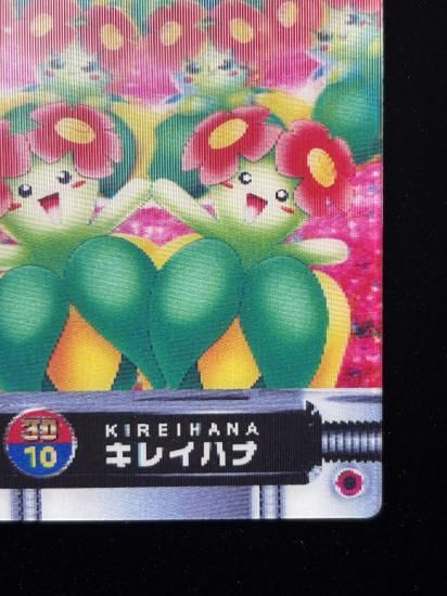 【状態A】●ずかんカード キレイハナ