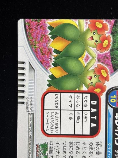 【状態A】●ずかんカード キレイハナ