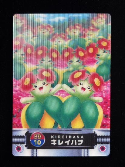 【状態A】●ずかんカード キレイハナ