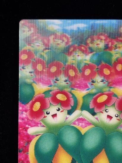 【状態A】●ずかんカード キレイハナ