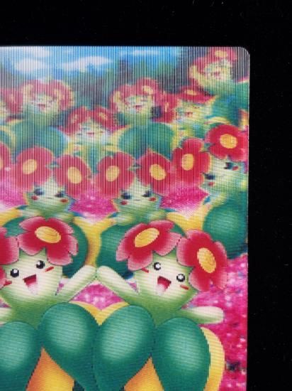 【状態A】●ずかんカード キレイハナ