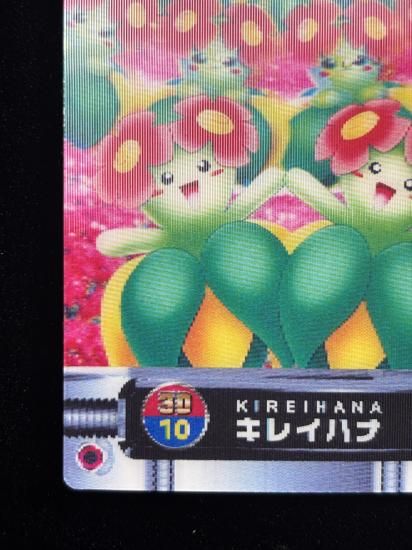 【状態A】●ずかんカード キレイハナ