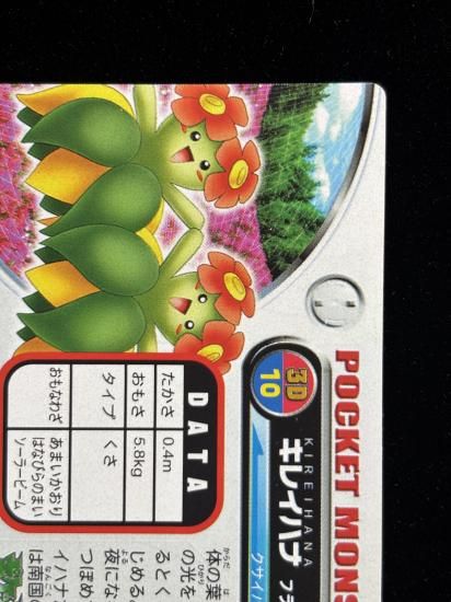 【状態A】●ずかんカード キレイハナ