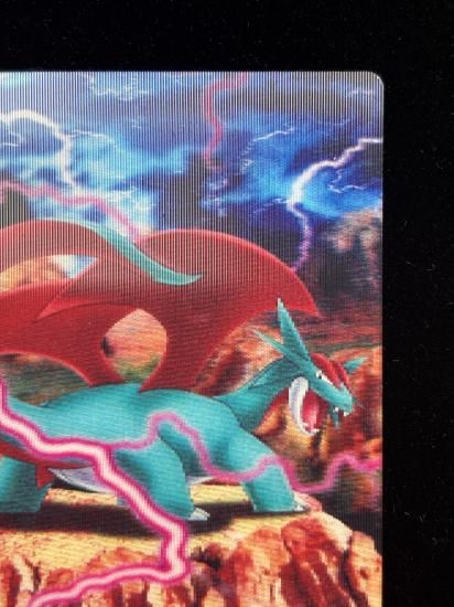 【状態A】●ずかんカード ボーマンダ