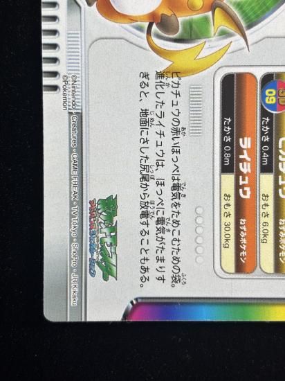 【状態A】●ずかんカード ピカチュウ・ライチュウ