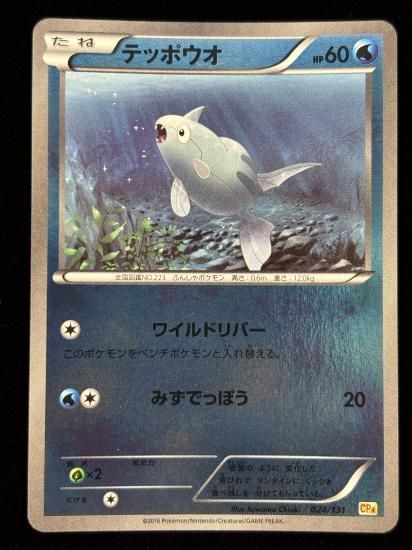 【状態A】●テッポウオ（024/131）