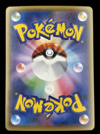 【状態A】●テッポウオ（024/131）