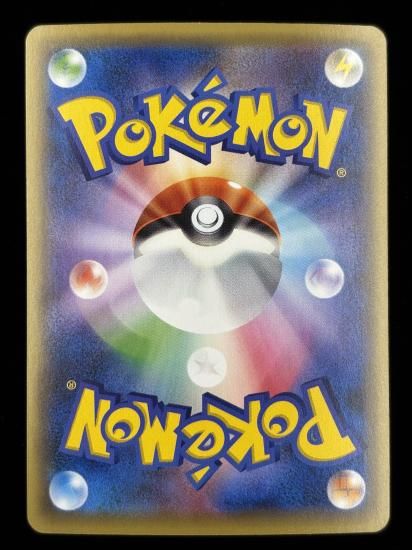 【状態A】●ツチニン（008/131）