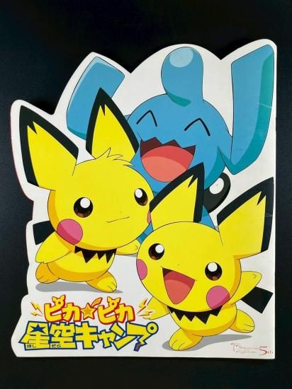 ピカピカ星空キャンプ パンフレット