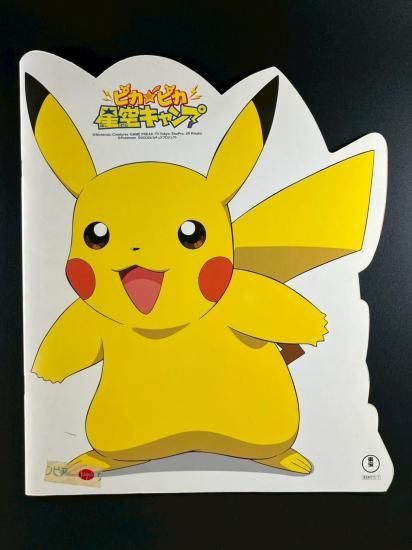 ピカピカ星空キャンプ パンフレット