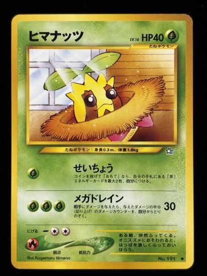 【状態B】●ヒマナッツ(旧裏)