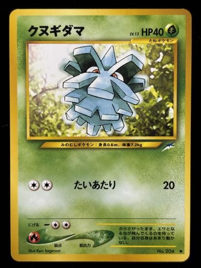 【状態A】●クヌギダマ(旧裏)