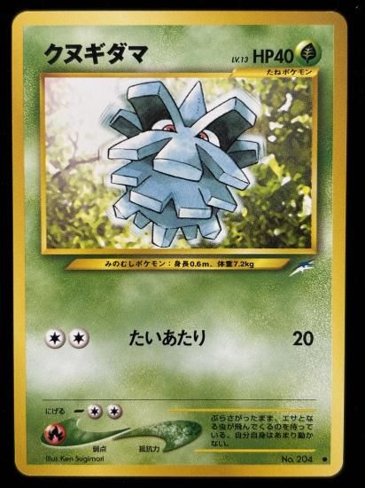 【状態A】●クヌギダマ(旧裏)