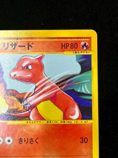 【状態S】●リザード(007/048)