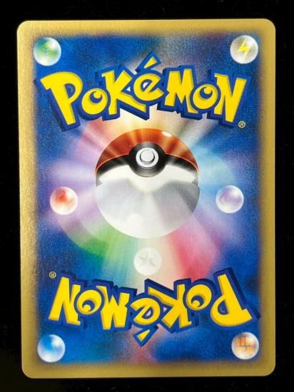 【状態S】●ニドキング(033/048)