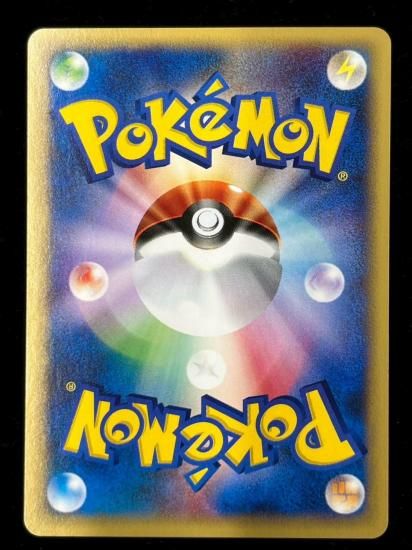 【状態S】●ニドラン♂(002/048)