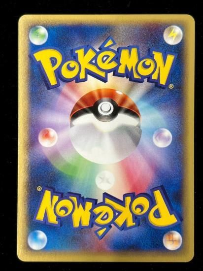 【状態S】●ニドラン♂(002/048)