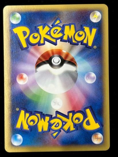 【状態A】●ニドラン♂(002/048)