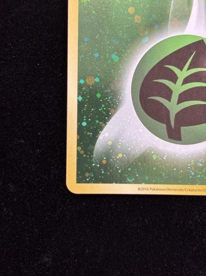 【状態A】●基本草エネルギー【ファーストデザイン】●(XY-P)