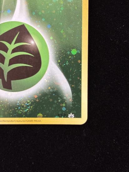 【状態A】●基本草エネルギー【ファーストデザイン】●(XY-P)