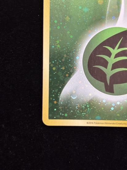 【状態A】●基本草エネルギー【ファーストデザイン】●(XY-P)