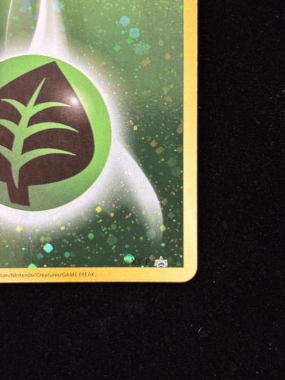 【状態A】●基本草エネルギー【ファーストデザイン】●(XY-P)