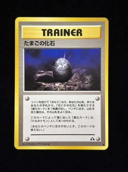 【状態A】●たまごの化石(旧裏)