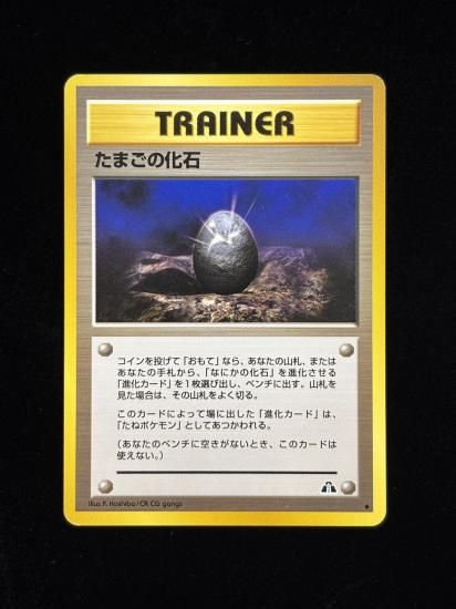 【状態A】●たまごの化石(旧裏)