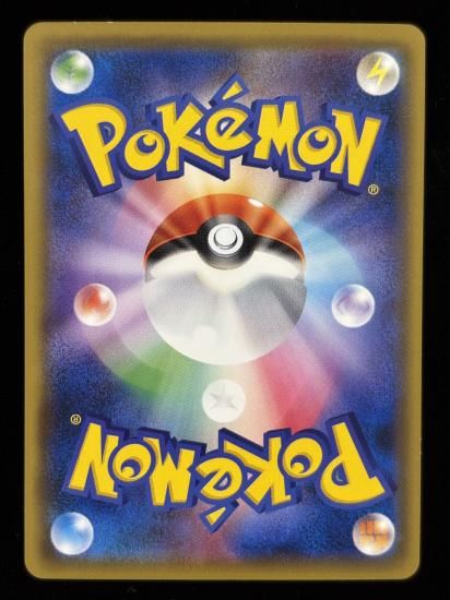 【状態B】●ガーディ(017/087)