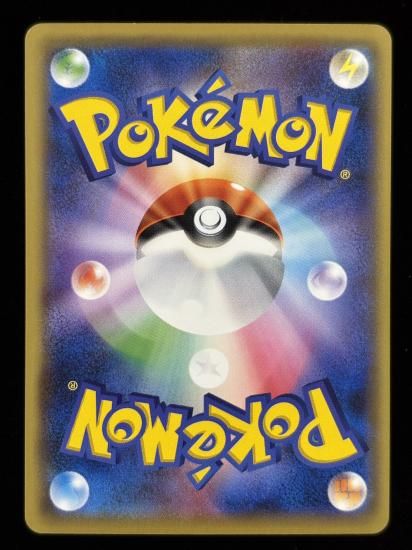 【状態B】●ガーディ(017/087)