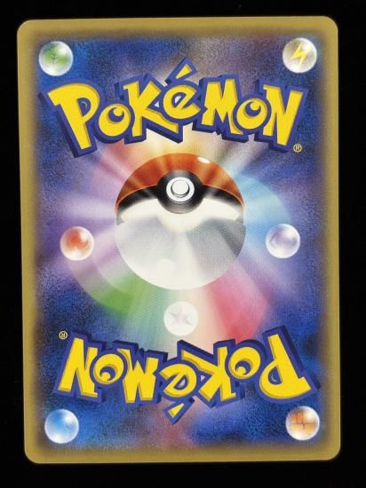 【状態B】●ニョロゾ(024/087)