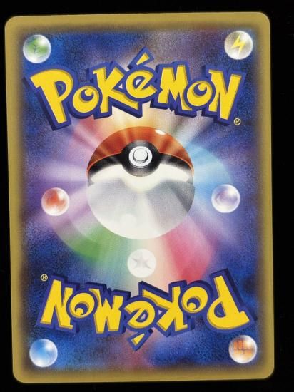 【状態B】●ドードー(067/087)