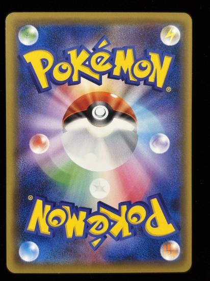 【状態B】●ドードー(067/087)